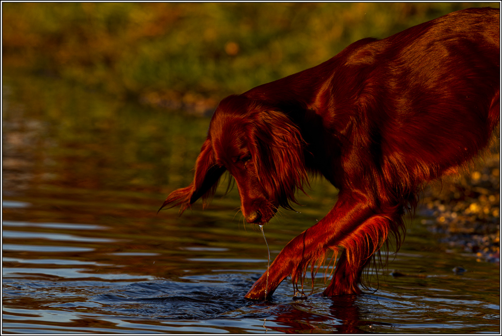 Wasser ist doch jetzt unser Freund